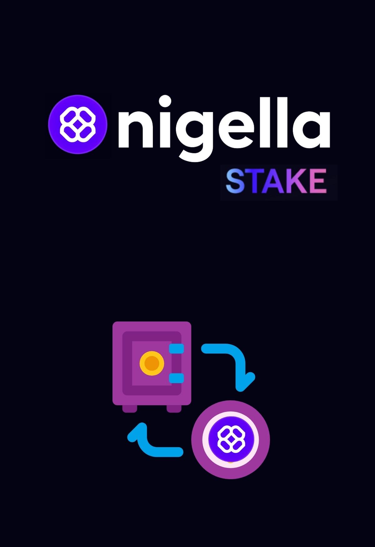 Nigella Stake Nedir?